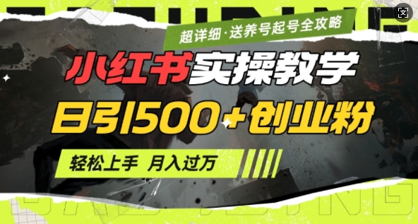 2月小红书最新日引500 创业粉实操教学【超详细】小白轻松上手，月入1W ，附小红书养号起号SOP