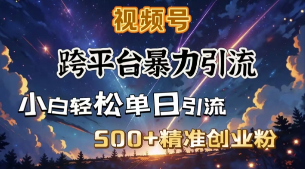 跨平台暴力引流，私域完美闭环，日引500 精准创业粉