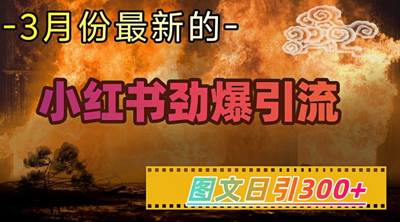 小红书超劲爆引流手段，图文日引300 轻松变现1W