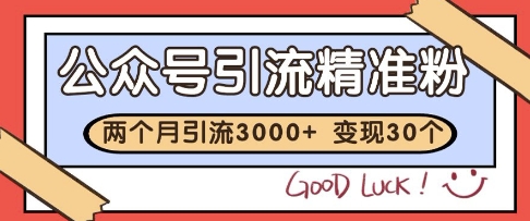 公众号精准粉引流玩法，2个月3000 精准粉，变现30个W【揭秘】