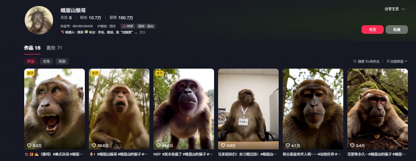 最新爆火的峨眉山猴子短视频制作教程,条条点赞10w ,谁做谁火【教程 提示词】